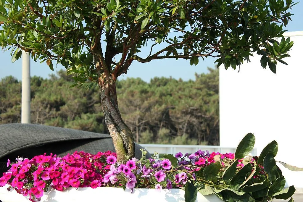 Terme Beach Resort Punta Marina 3*,  Italy